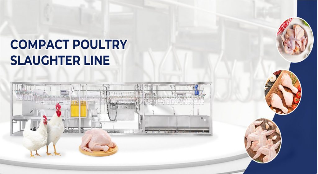 High-Efficiency Poultry Slaughter Equipment Solutions - Boost Your Poultry Processing Productivity